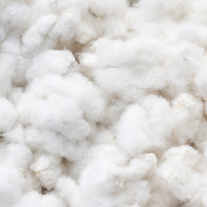 organic cotton blanks